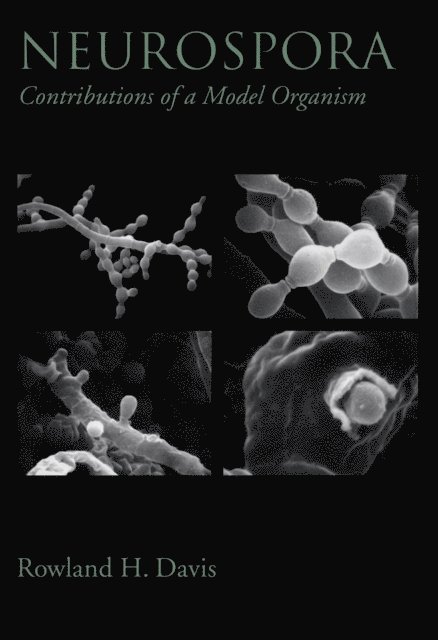 Rowland H. Davis - Neurospora, E-bok. Tillgänglighet: Lägg i varukorg