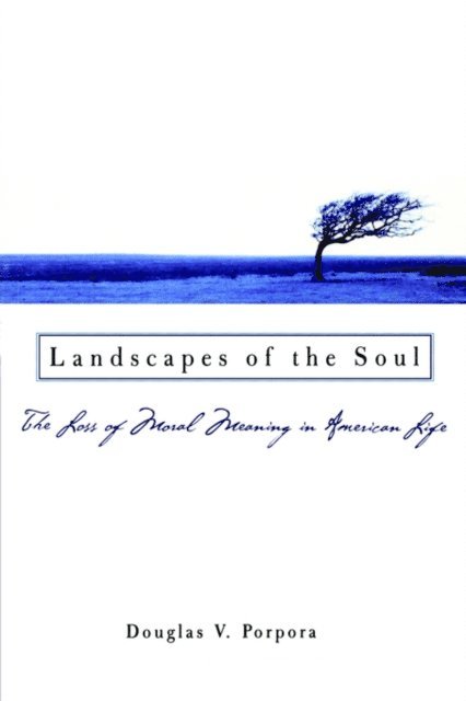 Douglas V. Porpora - Landscapes of the Soul, E-bok