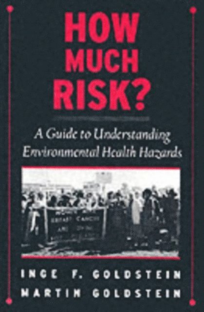 Martin Goldstein, Inge F. Goldstein - How Much Risk?, E-bok