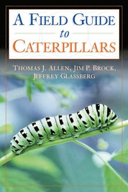 Jeffrey Glassberg, Jim P. Brock, Thomas J. Allen - Caterpillars in the Field and Garden, E-bok