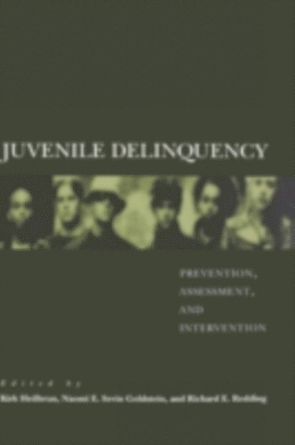 Richard E. Redding, Naomi E. Sevin Goldstein, Kirk Heilbrun - Juvenile Delinquency, E-bok