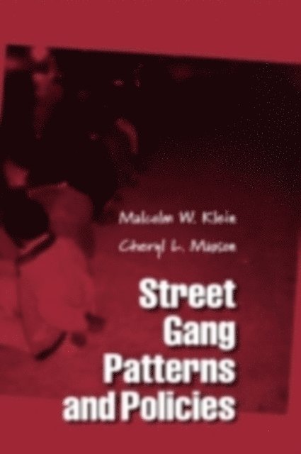 Cheryl L. Maxson, Malcolm W. Klein - Street Gang Patterns and Policies, E-bok