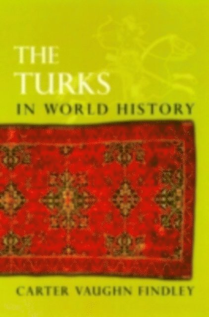 Carter Vaughn Findley - Turks in World History, E-bok