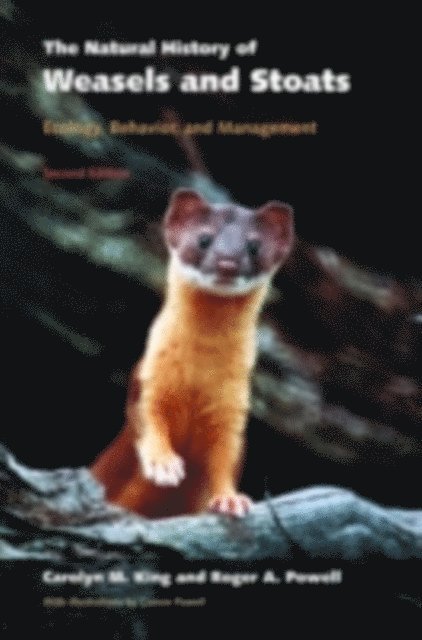 Roger A. Powell, Carolyn M. King - Natural History of Weasels and Stoats, E-bok