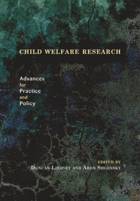 Aron Shlonsky, Duncan Lindsey - Child Welfare Research, E-bok