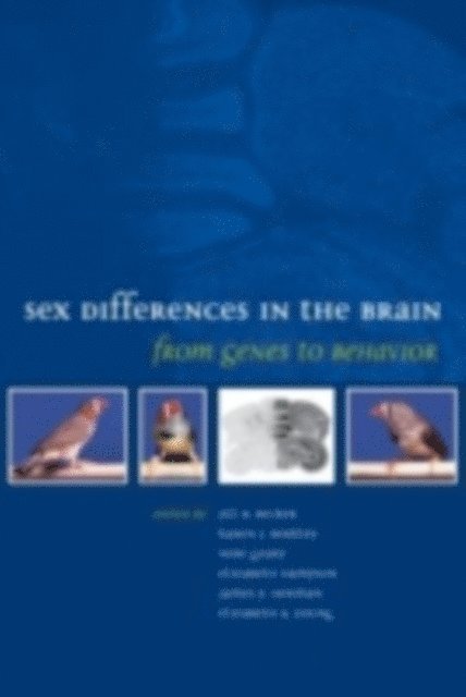 Elizabeth Young, James P. Herman, Elizabeth Hampson, Nori Geary, Karen J. Berkley, Jill B. Becker - Sex Differences in the Brain, E-bok