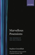 Marvelous Possessions