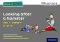 Read Write Inc. Phonics: Grey Set 7 Storybook 4 Looking After a Hamster