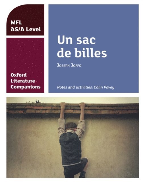 Colin Povey - Oxford Literature Companions: Un sac de billes, E-bok