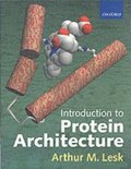 Introduction to Protein Architecture