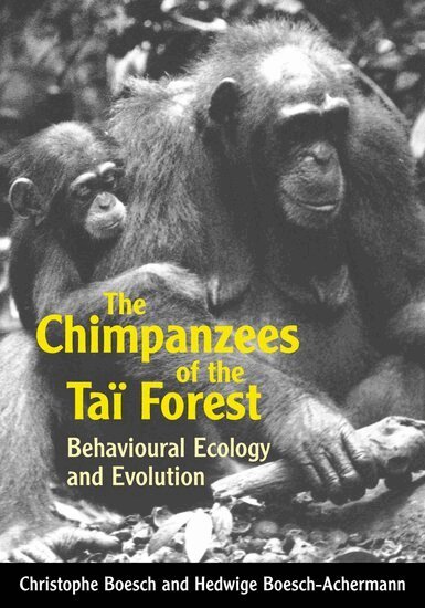 The Chimpanzees of the Tai Forest