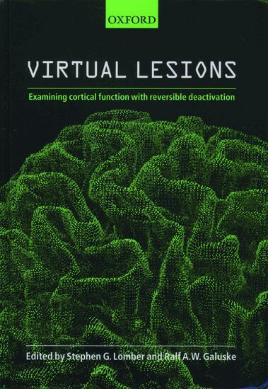 Virtual Lesions