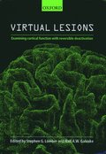 Virtual Lesions