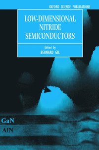 Low-Dimensional Nitride Semiconductors