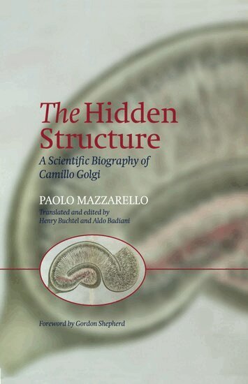Paolo Mazzarello - The Hidden Structure, Inbunden