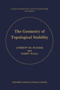 The Geometry of Topological Stability