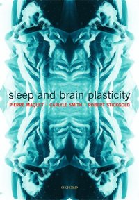 Sleep and Brain Plasticity