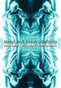 Sleep and Brain Plasticity