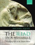 Iliad in a Nutshell