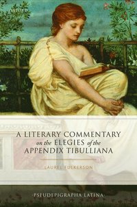 A Literary Commentary on the Elegies of the Appendix Tibulliana