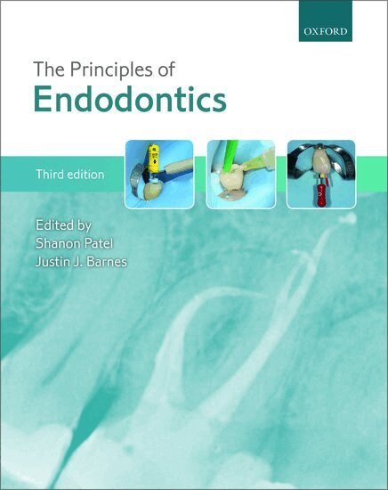 Shanon Patel, Justin J. Barnes - The Principles of Endodontics, Häftad