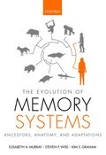 Evolution of Memory Systems