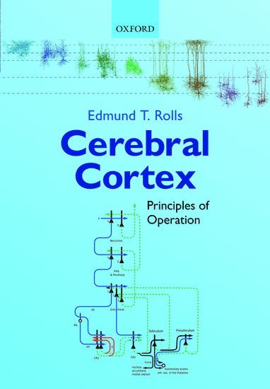 Cerebral Cortex av Edmund T Rolls, Edmund T Rolls, Edmund T Rolls