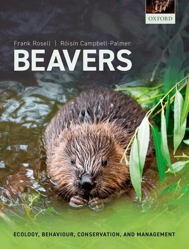 Beavers by Frank Rosell, Róisín Campbell-Palmer, Roisin Campbell-Palmer