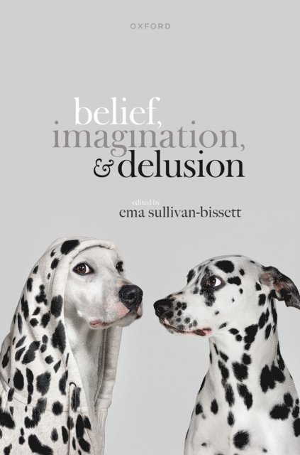 Ema Sullivan-Bissett - Belief, Imagination, and Delusion, E-bok