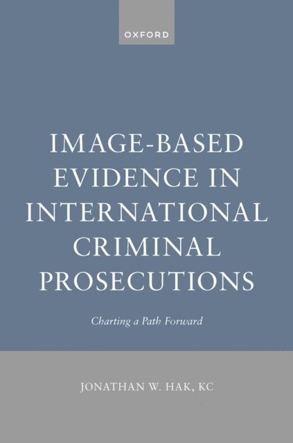 Image-Based Evidence in International Criminal Prosecutions