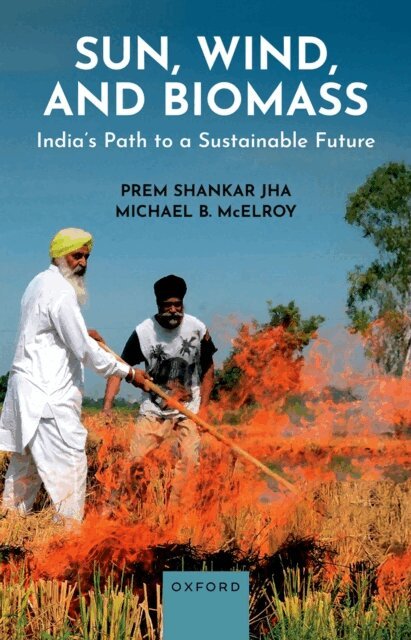 Michael B. McElroy, Prem Shankar Jha - Sun, Wind, and Biomass, E-bok