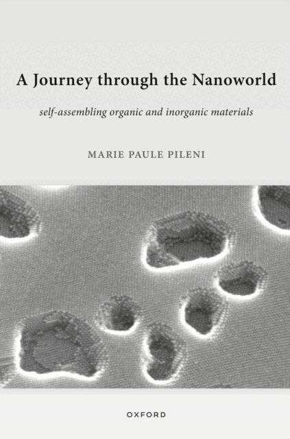 Journey through the Nanoworld