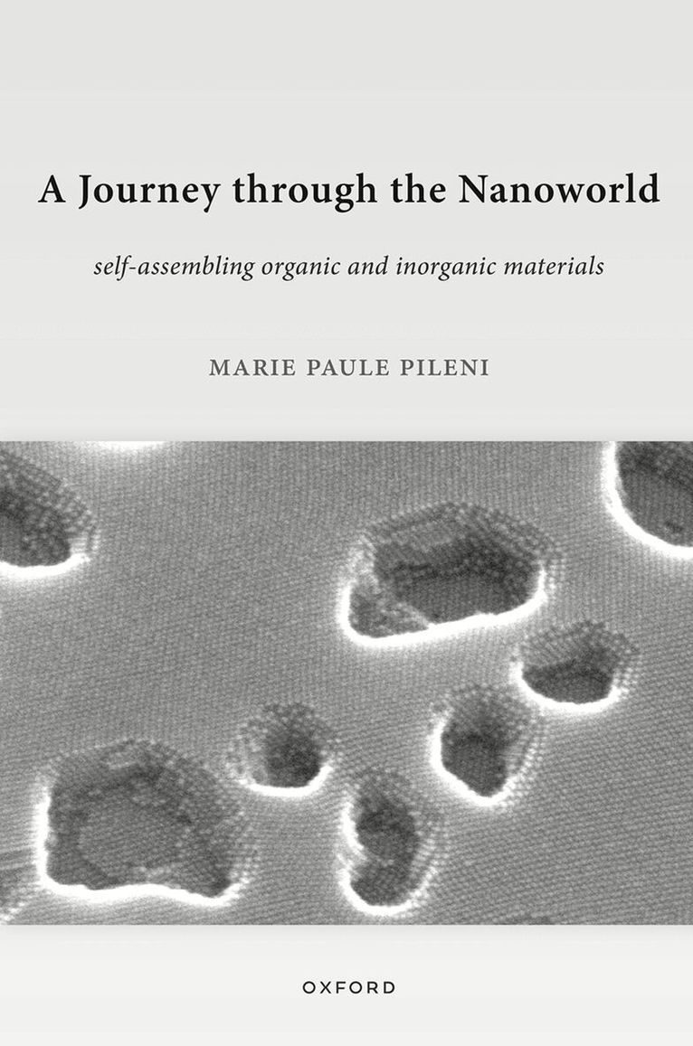 Marie Paule Pileni - A Journey through the Nanoworld, Inbunden. Tillgänglighet: Lägg i varukorg