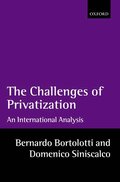 The Challenges of Privatization