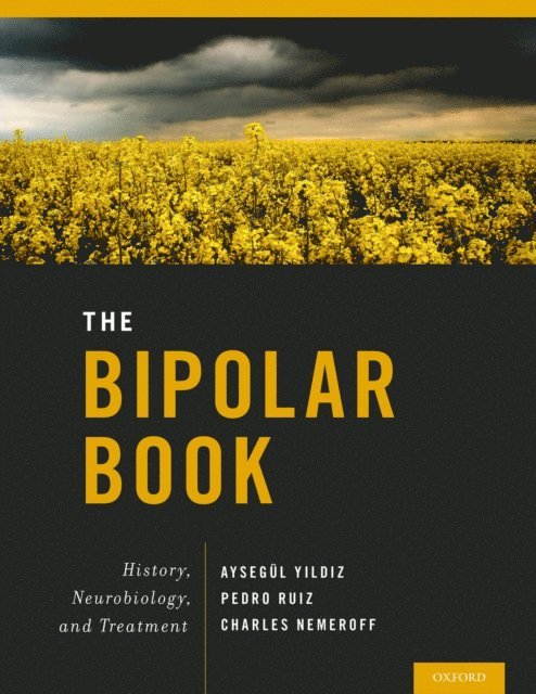 Charles Nemeroff, Pedro Ruiz, Aysegul Yildiz - Bipolar Book, E-bok