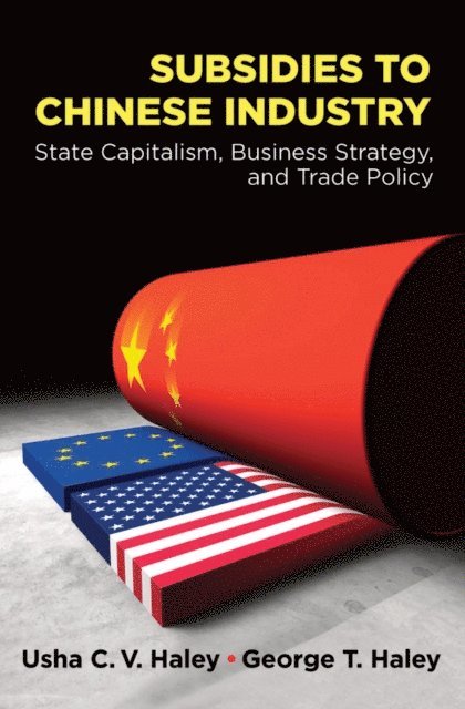 George T. Haley, Usha C.V. Haley - Subsidies to Chinese Industry, E-bok