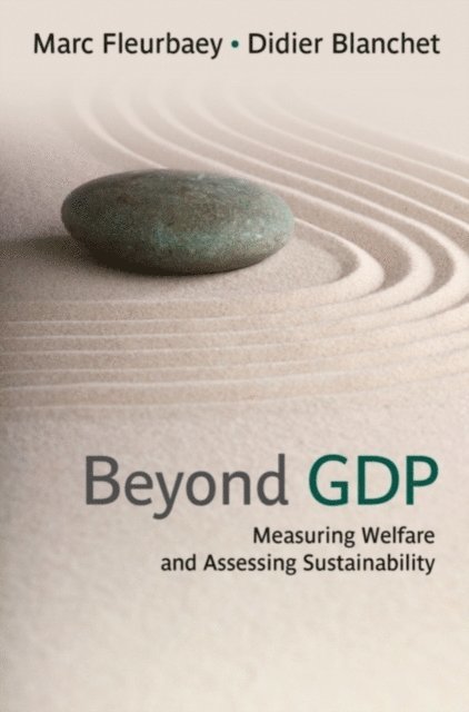 Didier Blanchet, Marc Fleurbaey - Beyond GDP, E-bok