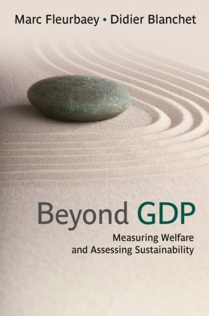 Didier Blanchet, Marc Fleurbaey - Beyond GDP, E-bok