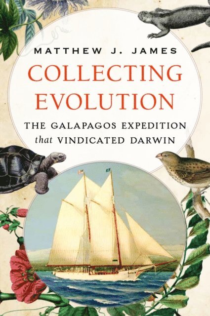 Matthew J. James - Collecting Evolution, E-bok