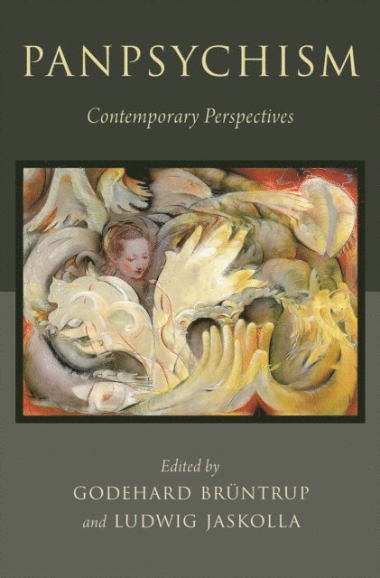 Ludwig Jaskolla, Godehard Bruntrup - Panpsychism, E-bok
