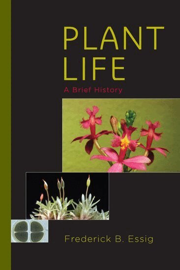 Frederick B. Essig - Plant Life, Inbunden. Tillgänglighet: Lägg i varukorg