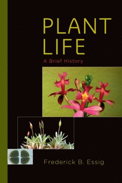 Frederick B. Essig - Plant Life, E-bok. Tillgänglighet: Lägg i varukorg