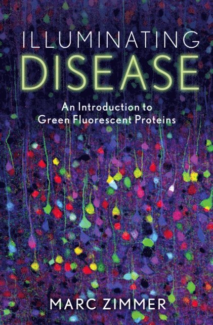 Marc Zimmer - Illuminating Disease, E-bok