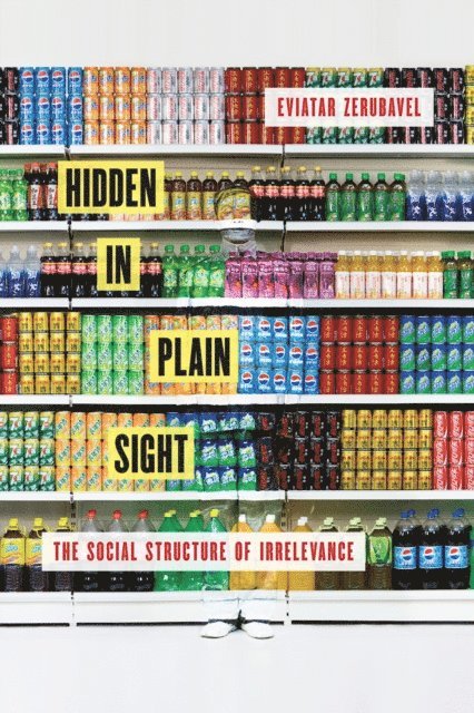 Eviatar Zerubavel - Hidden in Plain Sight, E-bok