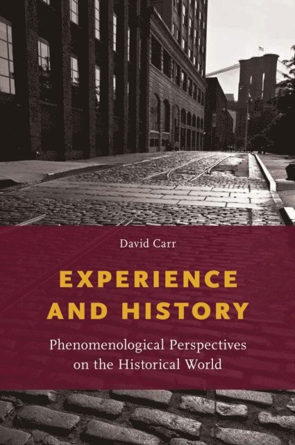 David Carr - Experience and History, E-bok