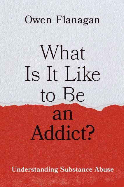 Owen Flanagan - What Is It Like to Be an Addict?, E-bok