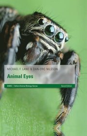 Animal Eyes