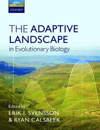 Adaptive Landscape in Evolutionary Biology