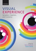 Visual Experience