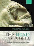 The Iliad in a Nutshell